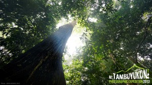 Mount Tambuyukon Expedition  